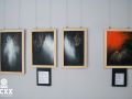 DSC 7516 fullres