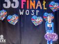 33finalwosp