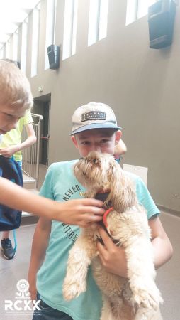 20230804 124508 20230804 124508