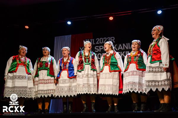DSC 8010 DSC 8010