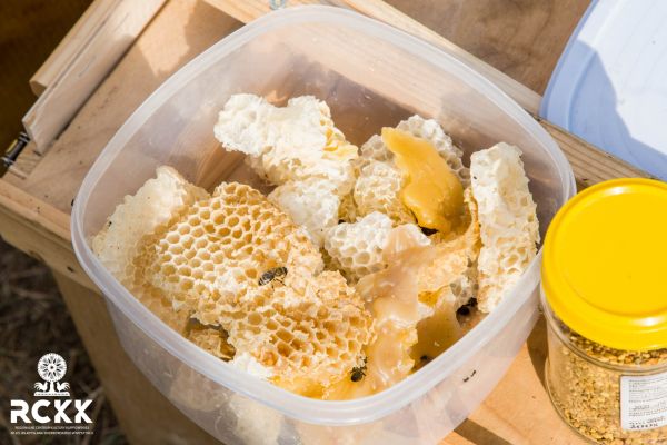 miodobranie2022 2 795 miodobranie2022 2 795