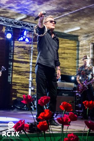 miodobranie2022 3 205 miodobranie2022 3 205