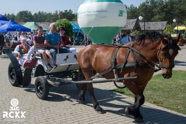 miodobranie2022 581 miodobranie2022 581